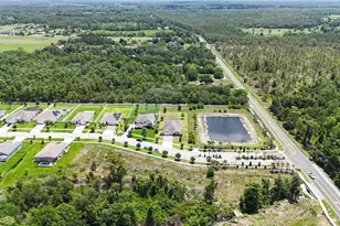 4119 Sunset Preserve Blvd, Orlando, FL 32820 - Photo 52