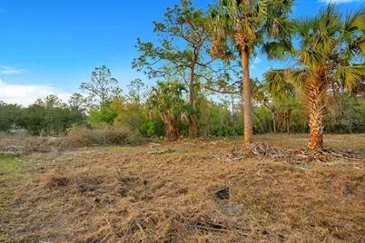 1411 Sarasota Court, Poinciana, FL 34759 - Photo 4