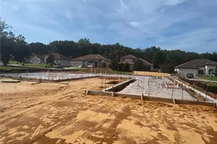 12818 Brunello Cir, Clermont, FL 34711 - Photo 32