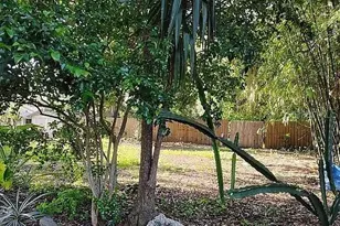 820 Bayou Ave, Tarpon Springs, FL 34689 - Photo 16