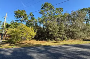 7896 N Triana Dr, Citrus Springs, FL 34434 - Photo 1