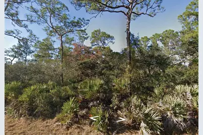 3249 Glen Springs Avenue, Lake Placid, FL 33852 - Photo 1