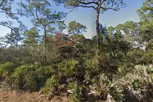 3249 Glen Springs Ave, Lake Placid, FL 33852 - Photo 1