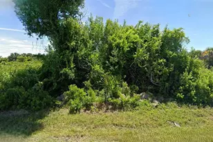 7280 Donahue St, Port Charlotte, FL 33981 - Photo 1