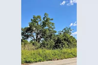 Paige Avenue, New Smyrna Beach, FL 32168 - Photo 1