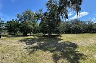 850 Menton Rd, Pierson, FL 32180 - Photo 24