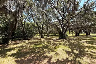 7119 SW 80th Ave, Ocala, FL 34481 - Photo 38