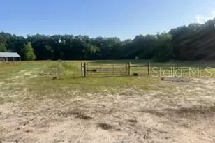 2469 N W 145 St, Citra, FL 32113 - Photo 6