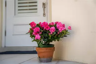 12185 Obelia Ln, Orlando, FL 32827 - Photo 44