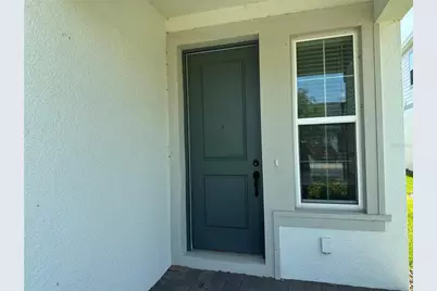 10355 Parkview Reserve Lane, Orlando, FL 32836 - Photo 4