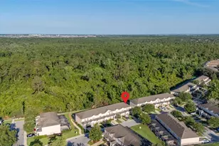 2346 Silver Palm Dr, Kissimmee, FL 34747 - Photo 52