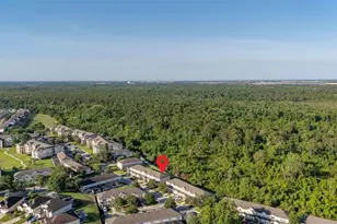 2346 Silver Palm Dr, Kissimmee, FL 34747 - Photo 58