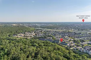 2346 Silver Palm Dr, Kissimmee, FL 34747 - Photo 68