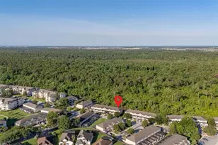 2346 Silver Palm Dr, Kissimmee, FL 34747 - Photo 56