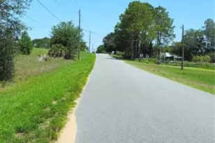 24207 Turkey Lake Rd, Howey in the Hills, FL 34737 - Photo 4