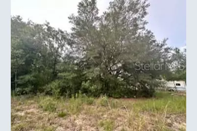 Nw 56th Court, Ocala, FL 34482 - Photo 4