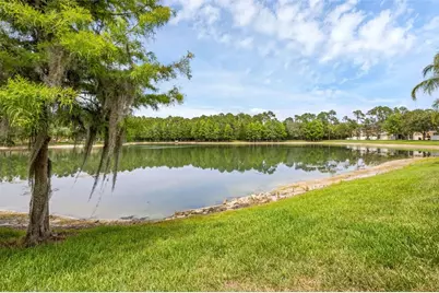 14025 Oasis Springs Lane #901, Windermere, FL 34786 - Photo 48