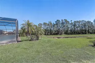 [Address not provided], Davenport, FL 33837 - Photo 50