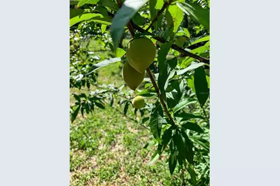 748 W Florence Avenue, Deland, FL 32720 - Photo 40