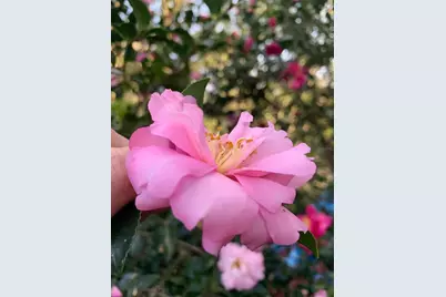 748 W Florence Avenue, Deland, FL 32720 - Photo 44