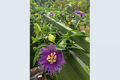 748 W Florence Avenue, Deland, FL 32720 - Photo 32