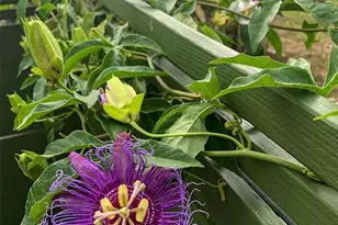 748 W Florence Ave, Deland, FL 32720 - Photo 32