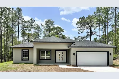 9335 N Fairy Lilly Drive, Citrus Springs, FL 34433 - Photo 1