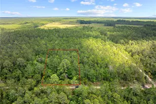 Crotty Ave, Hastings, FL 32145 - Photo 10