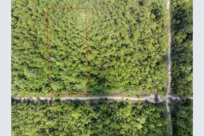 Crotty Avenue, Hastings, FL 32145 - Photo 4