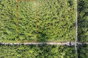 Crotty Ave, Hastings, FL 32145 - Photo 4