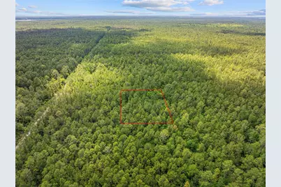 Crotty Avenue, Hastings, FL 32145 - Photo 8