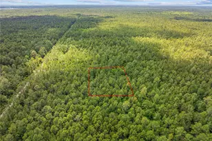 Crotty Ave, Hastings, FL 32145 - Photo 8