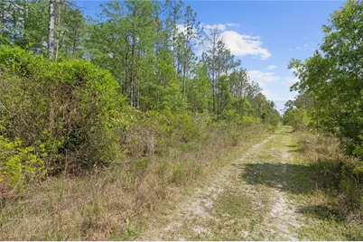 Crotty Avenue, Hastings, FL 32145 - Photo 2