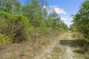 Crotty Ave, Hastings, FL 32145 - Photo 2