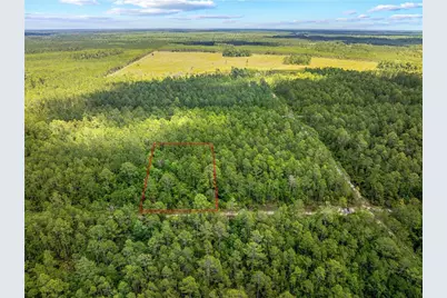 Crotty Avenue, Hastings, FL 32145 - Photo 6