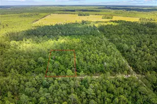 Crotty Ave, Hastings, FL 32145 - Photo 6