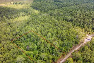 Crotty Ave, Hastings, FL 32145 - Photo 12