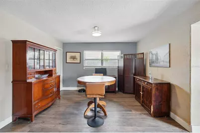 1111 Liberty Avenue, Mount Dora, FL 32757 - Photo 12