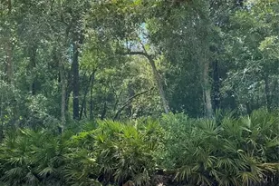 Lot 15 NW 118th Terrace, Ocala, FL 34482 - Photo 1