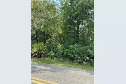 Lot 14 NW 118th Ter, Ocala, FL 34482 - Photo 2