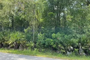 Lot 14 NW 118th Terrace, Ocala, FL 34482 - Photo 1