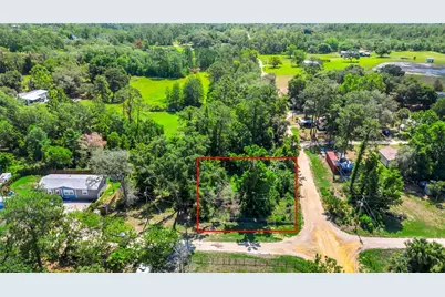 40850 Pine Tree Lane, Eustis, FL 32736 - Photo 8