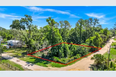 40850 Pine Tree Lane, Eustis, FL 32736 - Photo 2