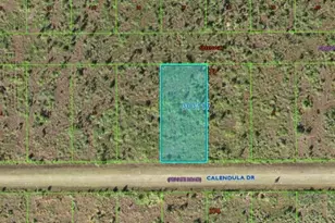 316 Calendula Dr, Indian Lake Estates, FL 33855 - Photo 1