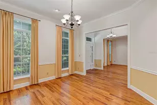 914 Elysium Blvd, Mount Dora, FL 32757 - Photo 8