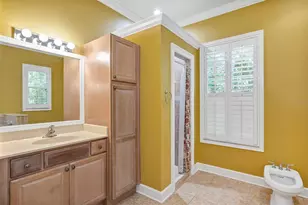 914 Elysium Blvd, Mount Dora, FL 32757 - Photo 16