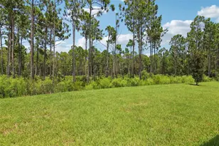 20 Ararat Dr, Palm Coast, FL 32137 - Photo 36