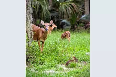 1438 Stickley Avenue, Celebration, FL 34747 - Photo 76