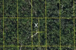 Sr-60, Lake Wales, FL 33898 - Photo 1