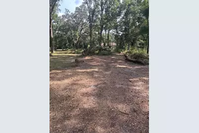 Tbd SW 111th Lane, Dunnellon, FL 34432 - Photo 4